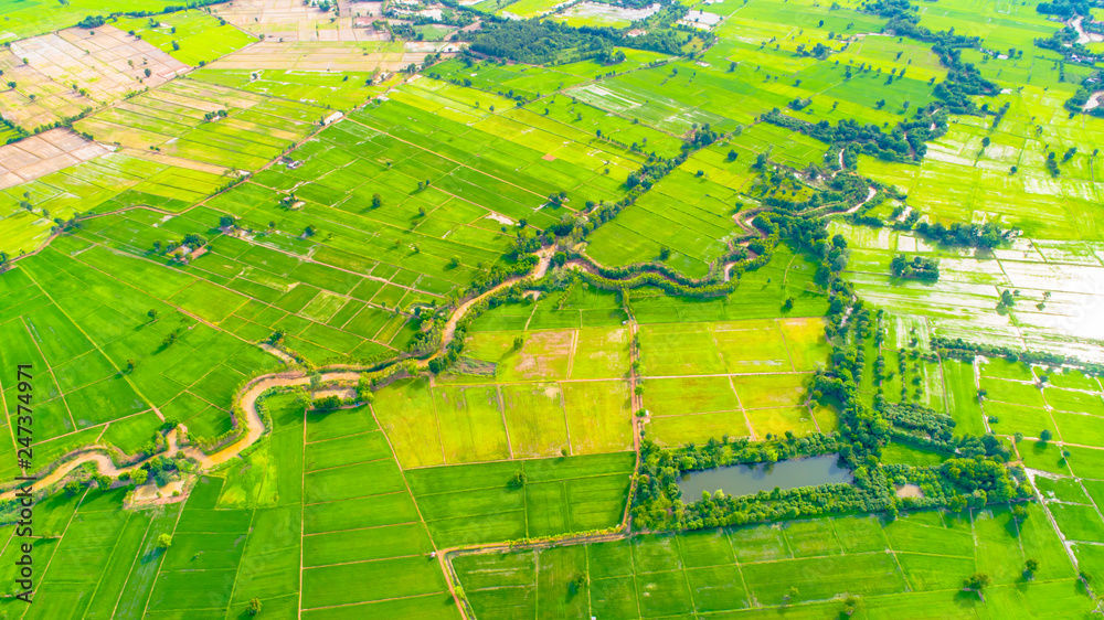Fototapeta premium Farming season 8