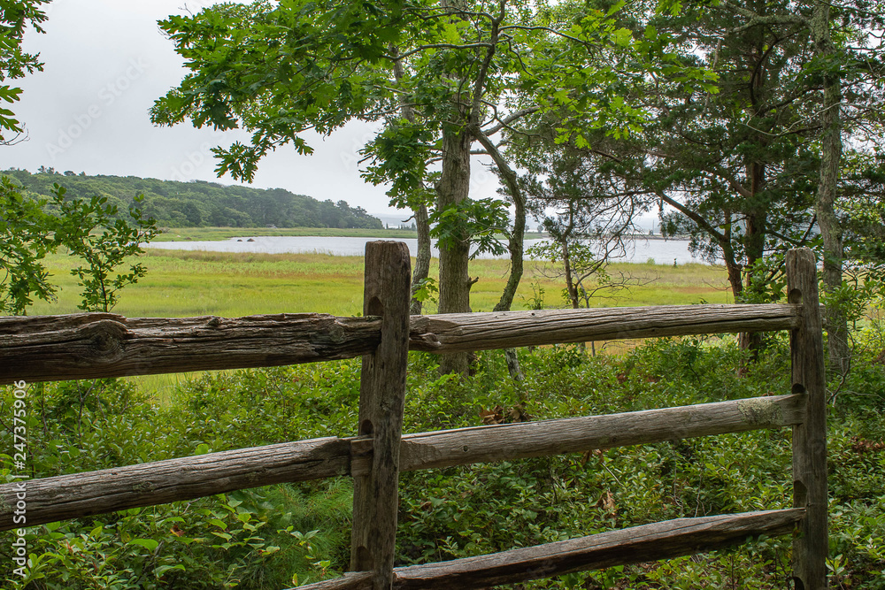 Great Neck Marsh