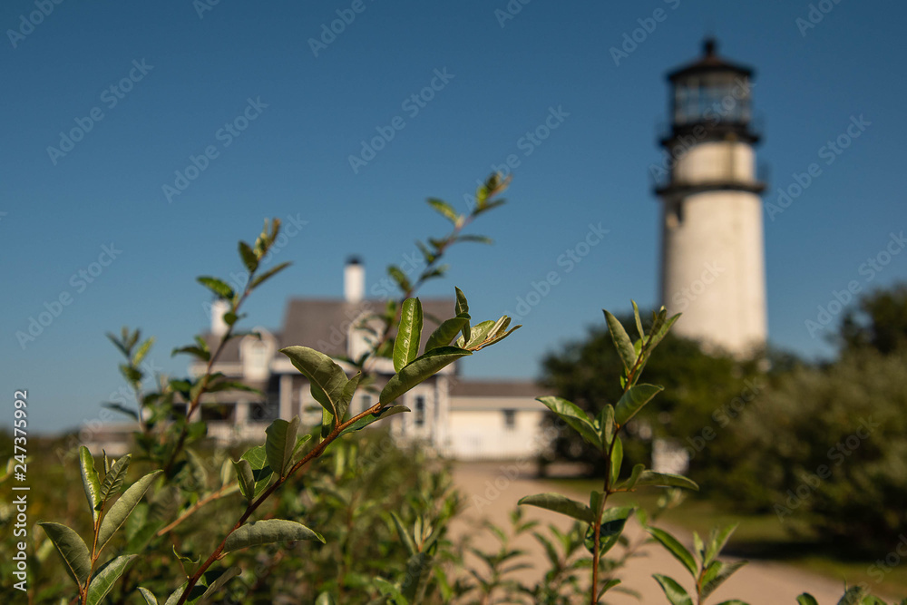 Highland Light Highland Light