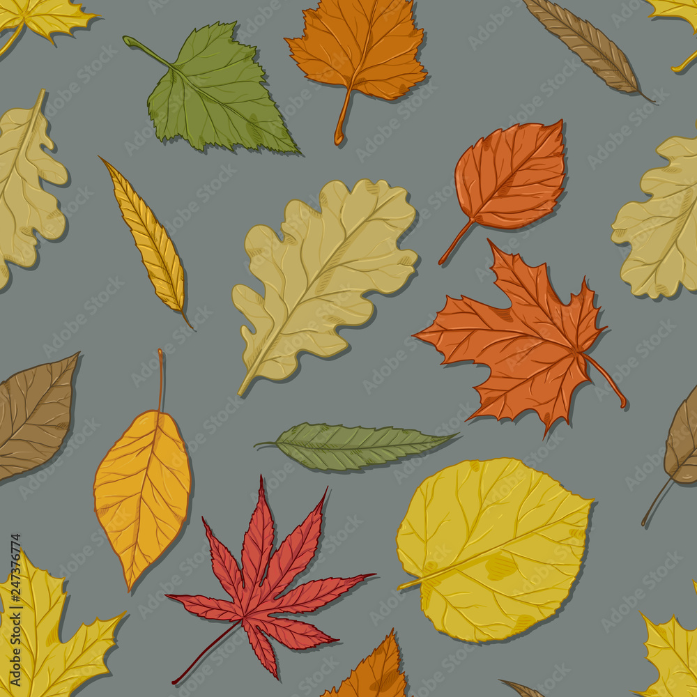 Vector Seamless Autumn Pattern with Leaves on Gray Background