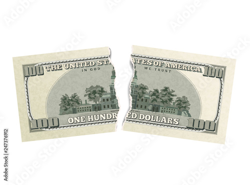 Fake one hundred USA dollars from back side, green banknote torn into two pieces on white