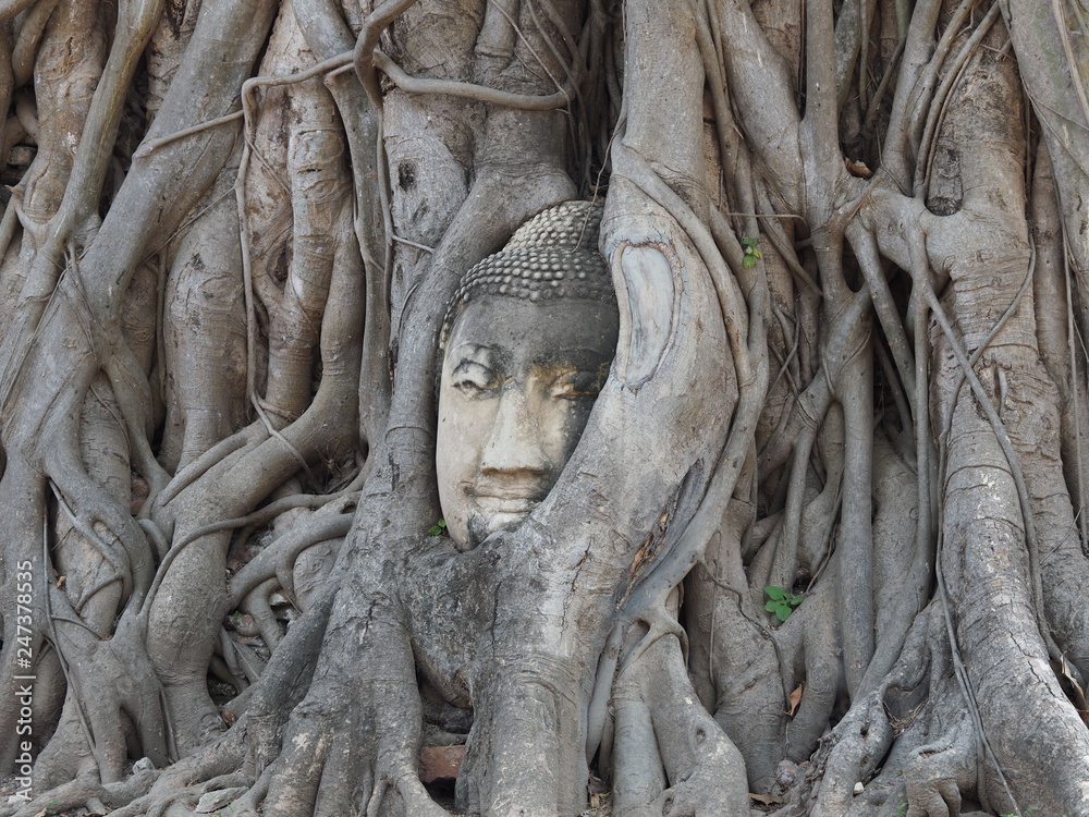 The Wat Mahathat is a Buddhist temple located in Ayutthaya, Thailand. This place also be one of ayutthaya historical park. The Wat Mahathat is a Buddhist temple located in Ayutthaya, Thailand. This place also be one of ayutthaya historical park.