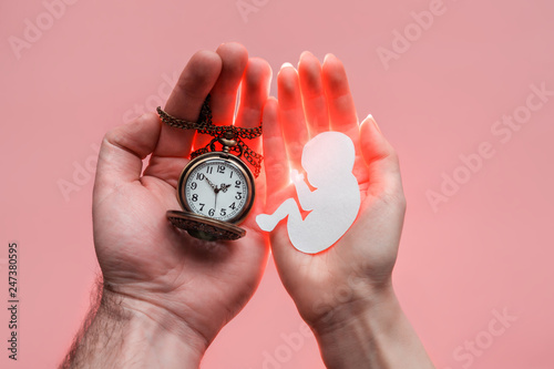 Fototapeta Naklejka Na Ścianę i Meble -  Parents palms pressed together and keep paper embryo with clock. Pastel pink background.