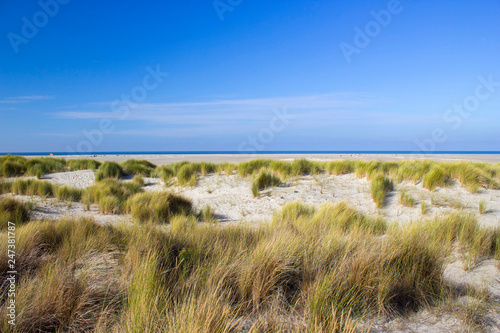 the dunes, Renesse, Zeeland, the Netherlands