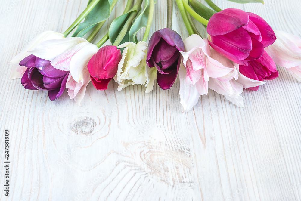 Beautiful bouquet of purple and white tulips on white wooden background with copy space Beautiful bouquet of purple and white tulips on white wooden background with copy space