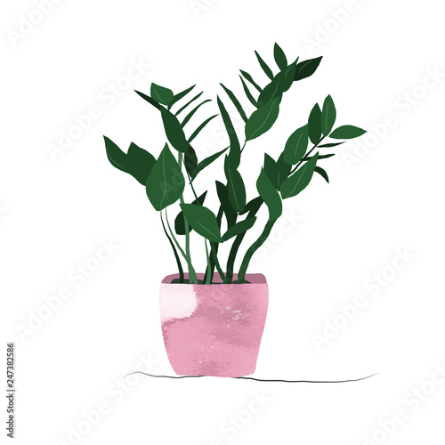 potted houseplant vector illustration.  interior design decor element.
