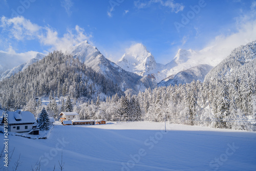 Forest near Hinterstoder, Upper Austria, winter, snow photo