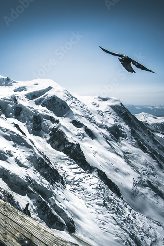 Mountains, birds, Mont Blanc, glacier