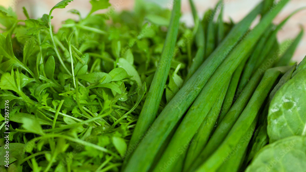 Vegan healthy fresh green onion and leafs watercress. Food background. Vitamin diet. Vegan healthy fresh green onion and leafs watercress. Food background. Vitamin diet.