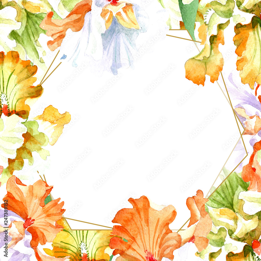 Orange white iris floral botanical flower. Watercolor background  illustration set. Frame border ornament square. Stock Photo | Adobe Stock