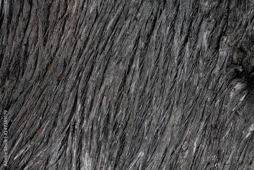 Aged wooden texture macro photo. Gray timber with weathered cracks. Natural background. Vintage or boho backdrop. Sea wood closeup. Grungy lumber flat lay. Distressed wood uneven surface Aged wooden texture macro photo. Gray timber with weathered cracks. Natural background. Vintage or boho backdrop. Sea wood closeup. Grungy lumber flat lay. Distressed wood uneven surface