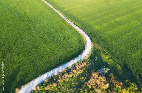 Aerial view at the road and field. Agricultural landscape from air. Field and...
