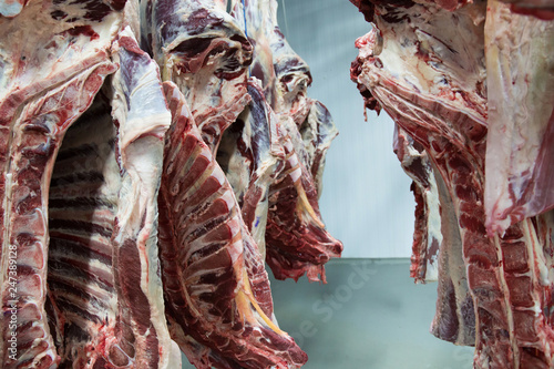 Tableau sur toile Freshly slaughtered halves of cattle hanging on the hooks in a refrigerator room of a meat plant for further food processing