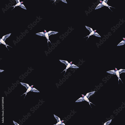 Beautiful swallow on a black background. Watercolor illustration. Spring bird brings love. Handwork. Seamless pattern