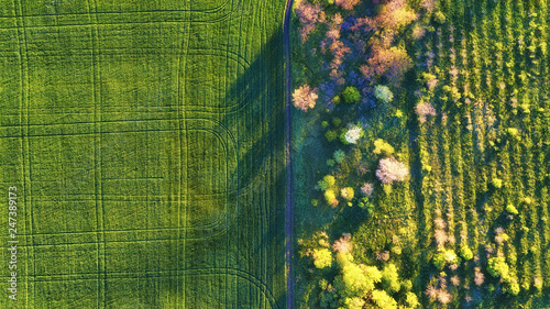 Aerial view at the garden and field. Agricultural landscape from air. Field a...