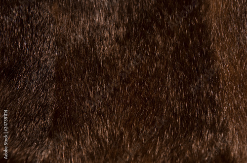 texture of fur