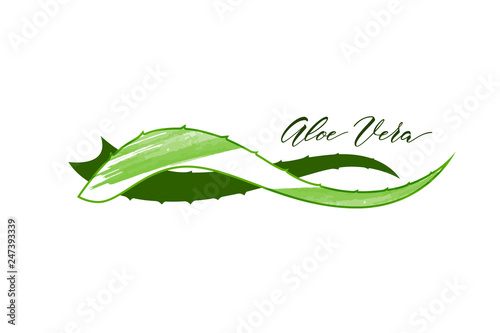 Aloe vera logo vector illustration on white background