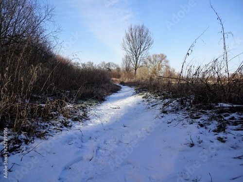 Hiking trail in the snow