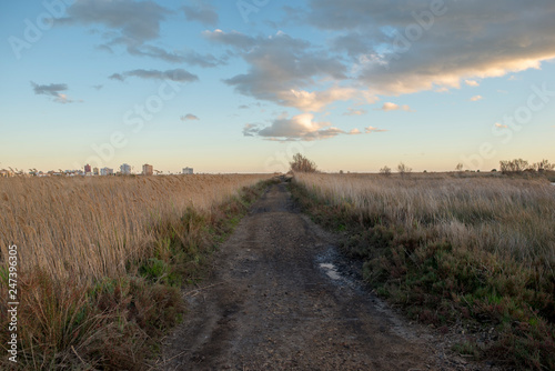 Sunset in the natural park of prat de cabanes