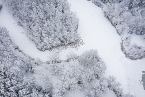 Aerial view of winter beautiful landscape with trees covered with hoarfrost and snow. Winter scenery from above. Landscape photo captured with drone. © Curioso.Photography
