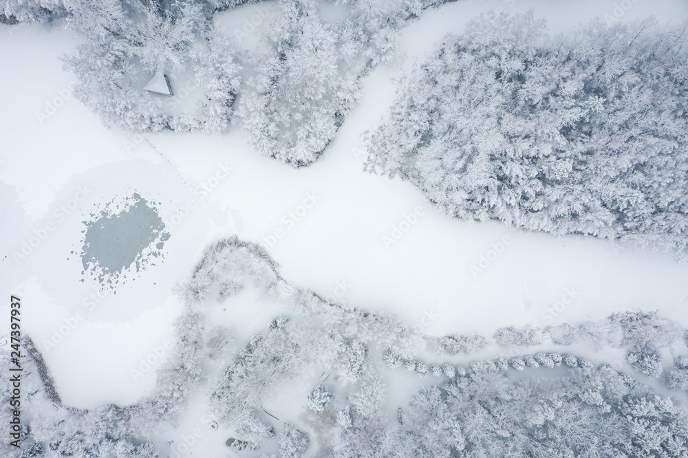 Aerial view of winter beautiful landscape with trees covered with hoarfrost and snow. Winter scenery from above. Landscape photo captured with drone.