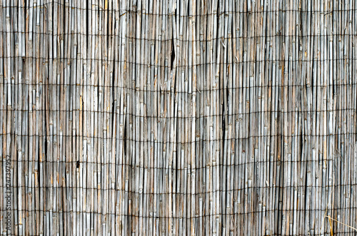 Close-up  of old banded with steel wire peeled reed fence . Backyard reed fencing. Yard privacy and security.Natural material fence