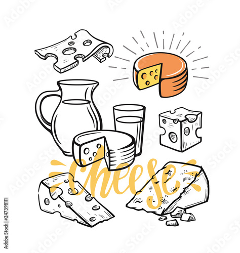 Cheese set illustration sketch Vector fresh food