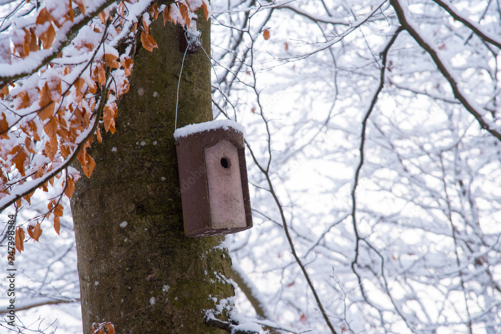 Birdhouse in the forest