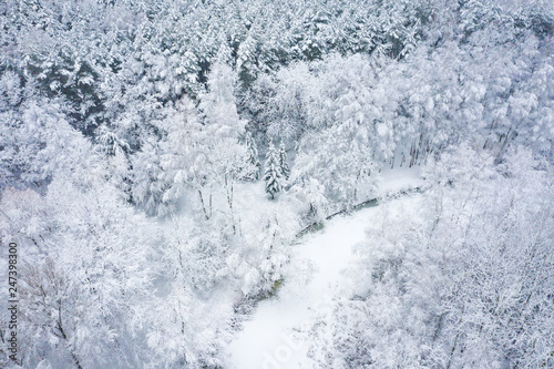 Aerial view of winter beautiful landscape with trees covered with hoarfrost and snow. Winter scenery from above. Landscape photo captured with drone.