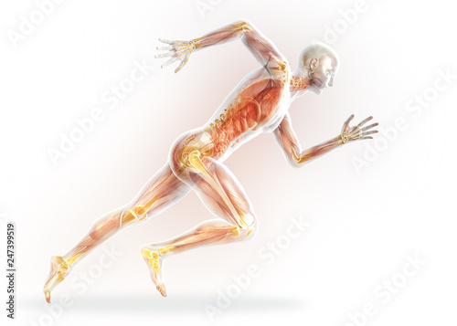 Arthritic,joints (yellow), medically 3D illustration on white background
