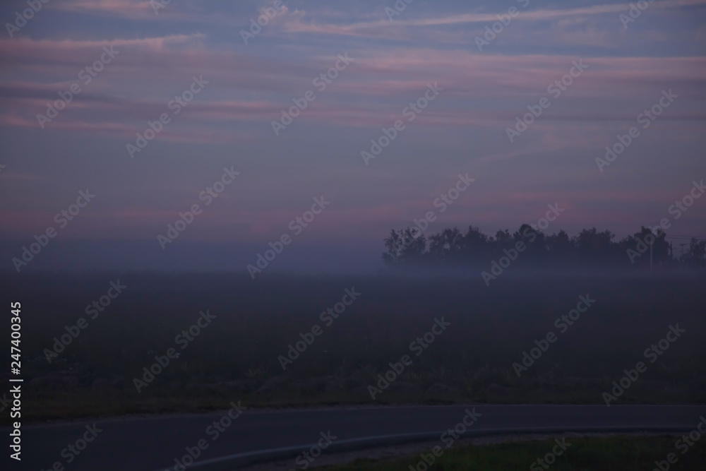 Fototapeta premium fog in the field against the forest