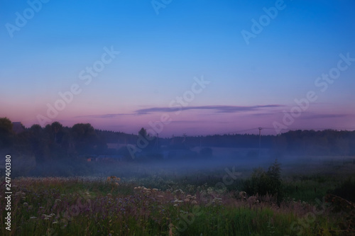 dawn with fog in the field