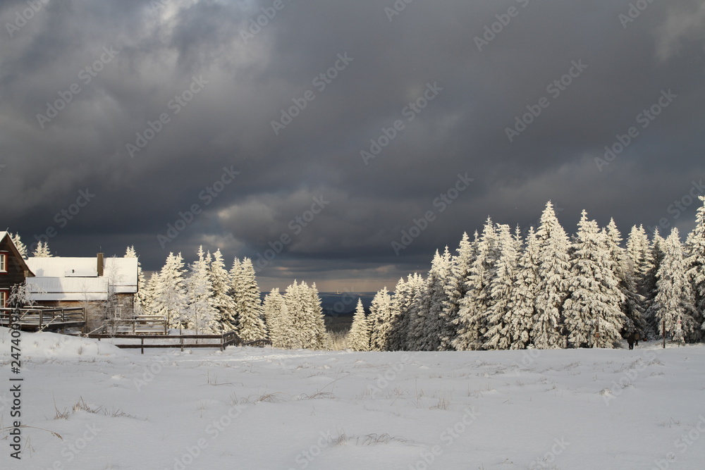 winter, schnee, landschaft, wald, baum, erkältung, himmel, natur, berg, frost, weiß, blau, eis, jahreszeit, gefroren, weihnachten, szene, cloud, schön, schneebedeckt, ski winter, schnee, landschaft, wald, baum, erkältung, himmel, natur, berg, frost, weiß, blau, eis, jahreszeit, gefroren, weihnachten, szene, cloud, schön, schneebedeckt, ski