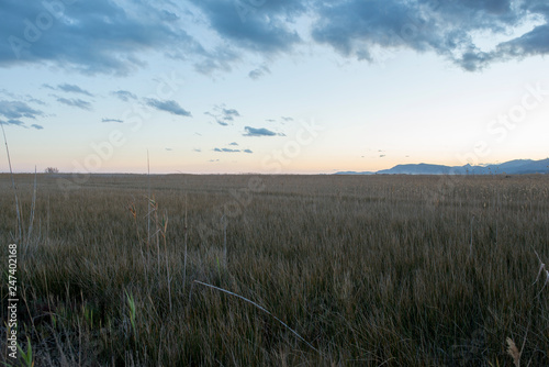 Sunset in the natural park of prat de cabanes