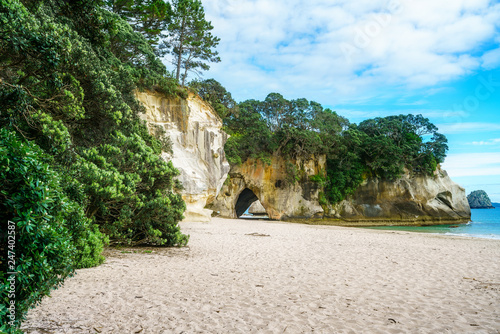 the cave of the cathedral cove beach,coromandel,new zealand 4