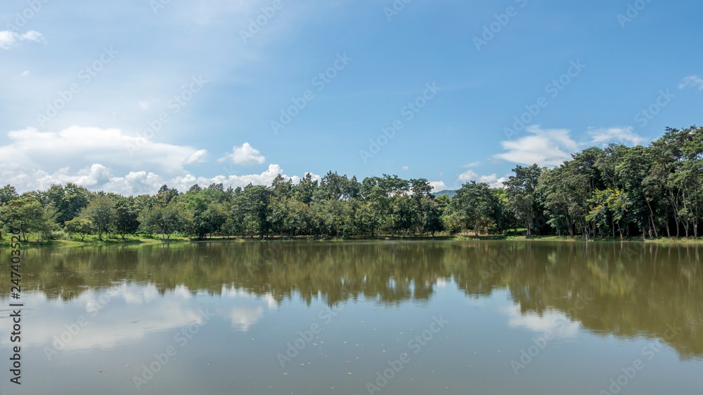 Blue sky and trees reflections on the lake.