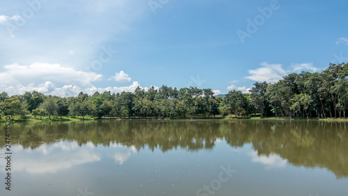 Blue sky and trees reflections on the lake.