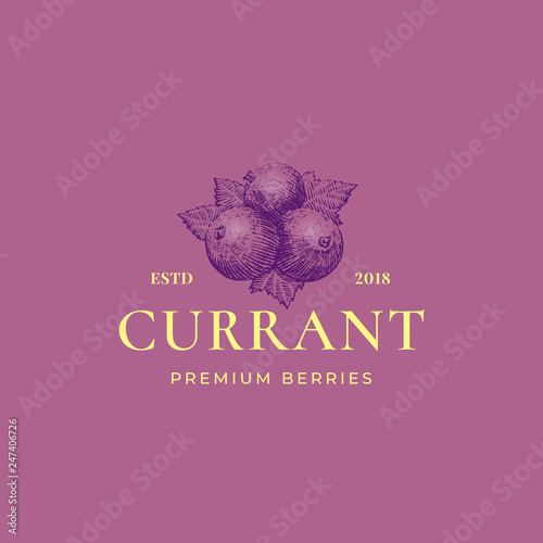 Black Currant Abstract Vector Sign, Symbol or Logo Template. Hand Drawn Berries with Leaves Sketch with Retro Typography. Vintage Engraving Style Emblem.