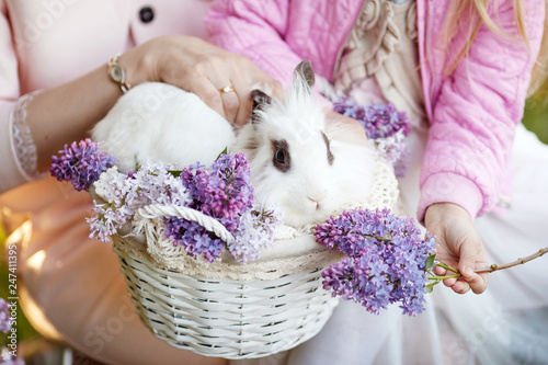 Beautiful  little girl  and her mother plaing with white rabbit in the spring time. Easter time. Close up picture photo