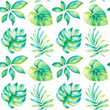 Hand-painted watercolor pattern. Exotic tropical leaves