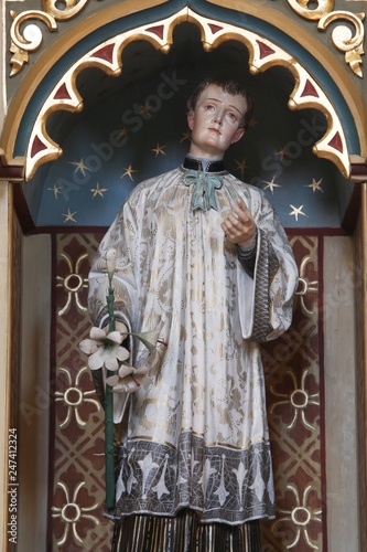 St. Aloysius statue on altar of Our Lady of Lourdes in the church of Saint Matthew in Stitar, Croatia photo