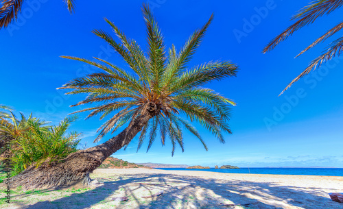 Fototapeta Naklejka Na Ścianę i Meble -  Scenic landscape of palm trees, turquoise water and tropical beach, Vai, Crete, Greece.