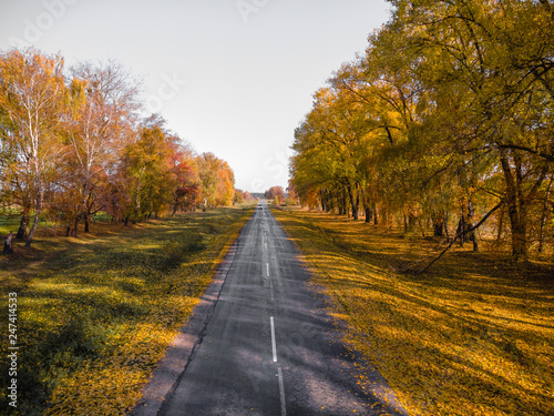 Autumn Fall, Road landscape - beautiful autumnal colors, sunny day, bright yellow leaves, travel concept © Sergey