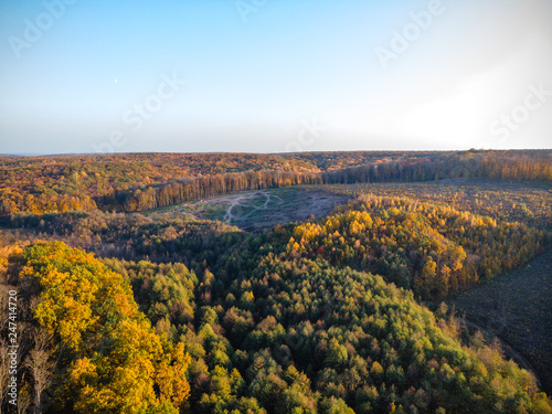 Deforestation in autumn  aerial. new plantings  reaction zone  global warming  reserve  home for animals  habitat