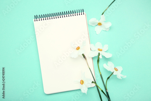 White narcissus flowers with notepad on mint background