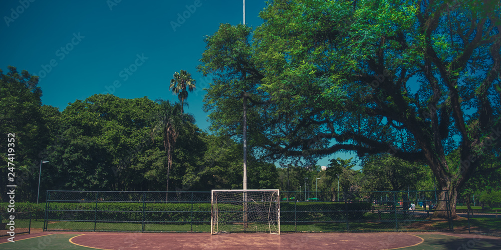 Obraz premium soccer