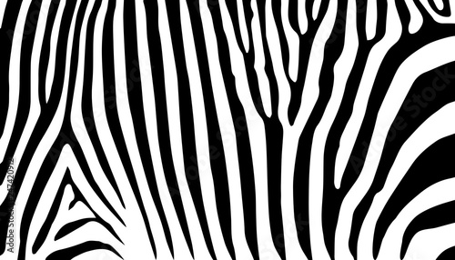 Print stripe animals jungle texture zebra vector black white 