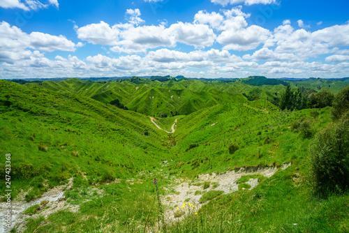 on the road, forgotten world highway, new zealand 13