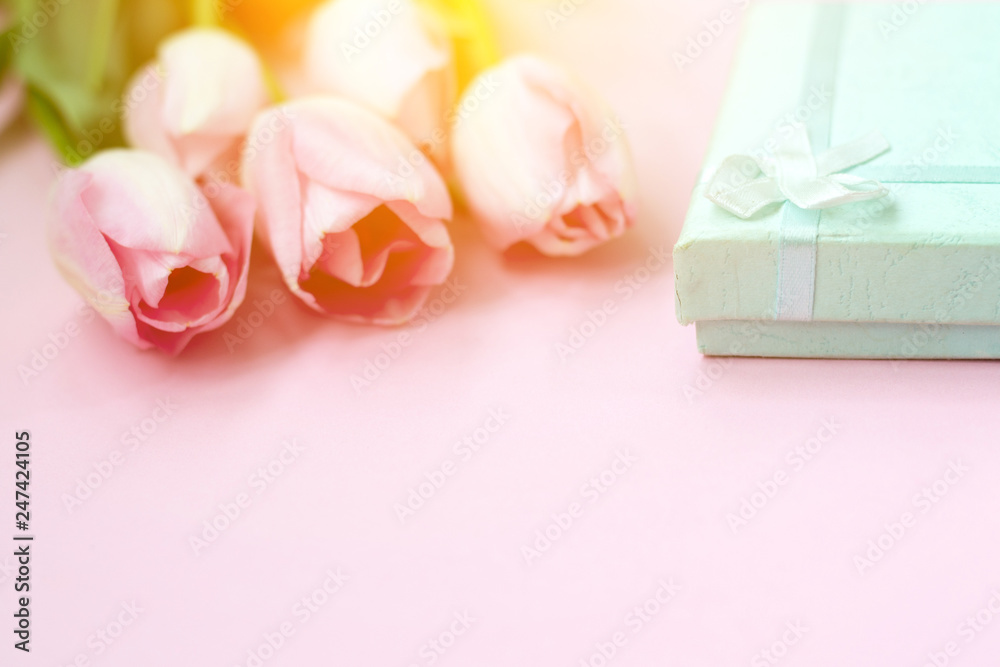 Pink tulips on the pink background with gift box. Flat lay, top view. Valentines background