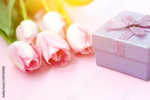 Pink tulips on the pink background with gift box. Flat lay, top view. Valentines background